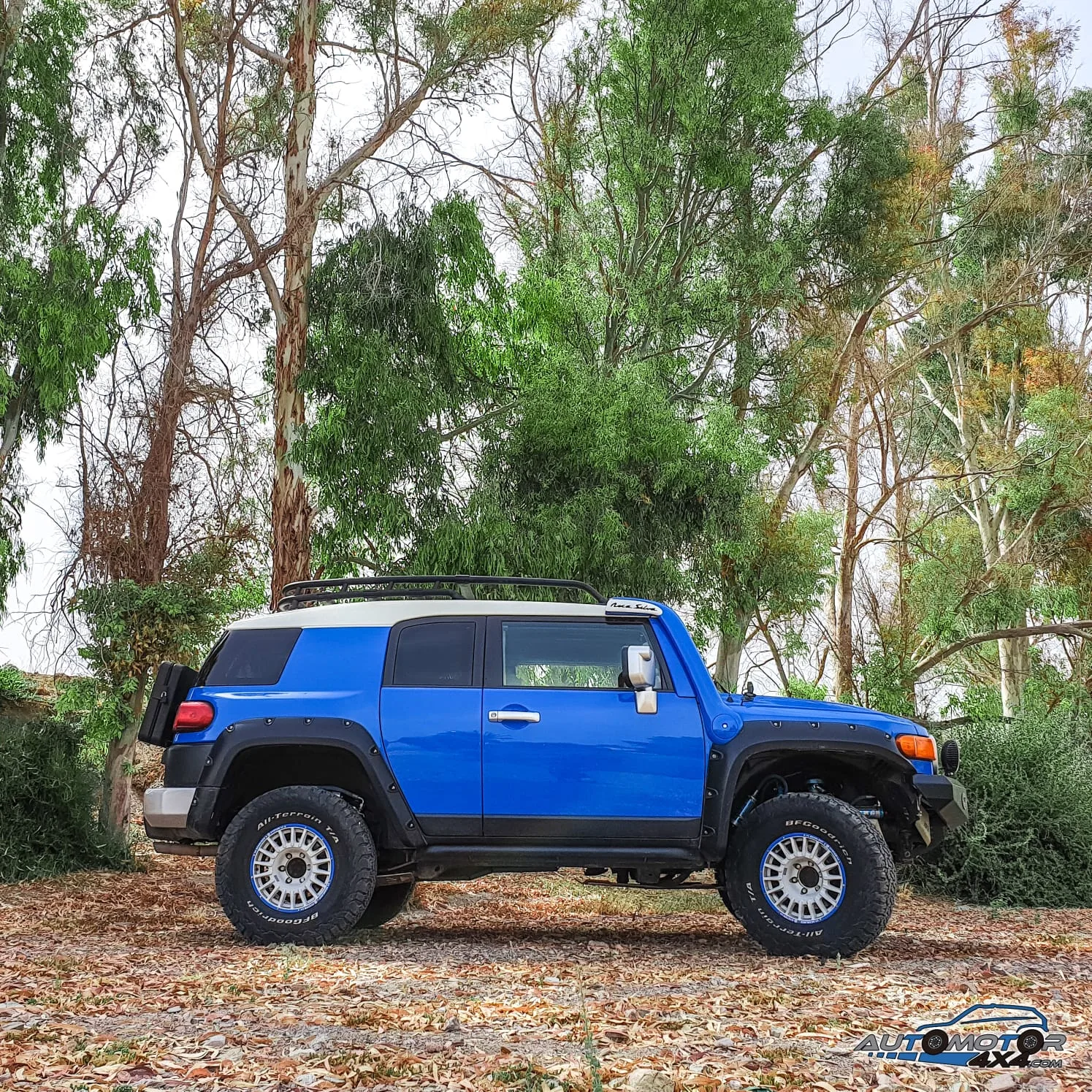 Toyota FJ Cruiser — taller 4x4 en Águilas (Murcia) (8/11)