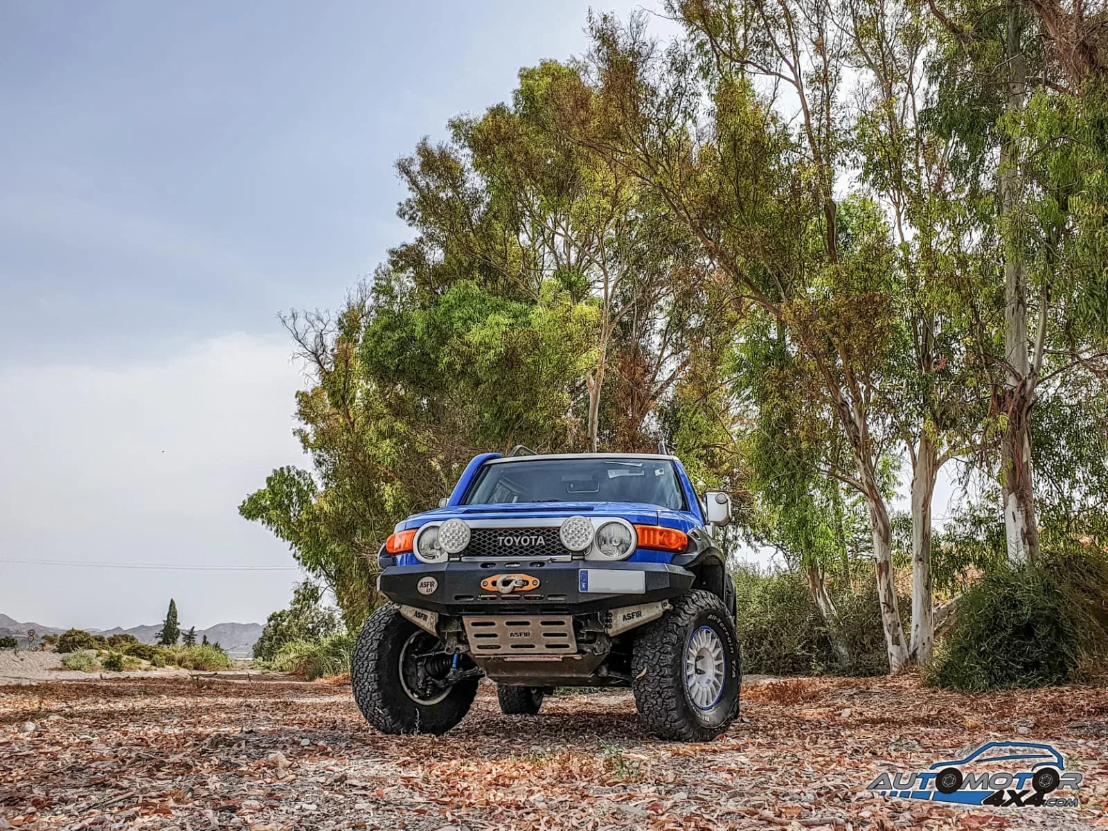 Toyota FJ Cruiser — taller 4x4 en Águilas (Murcia) (9/11)