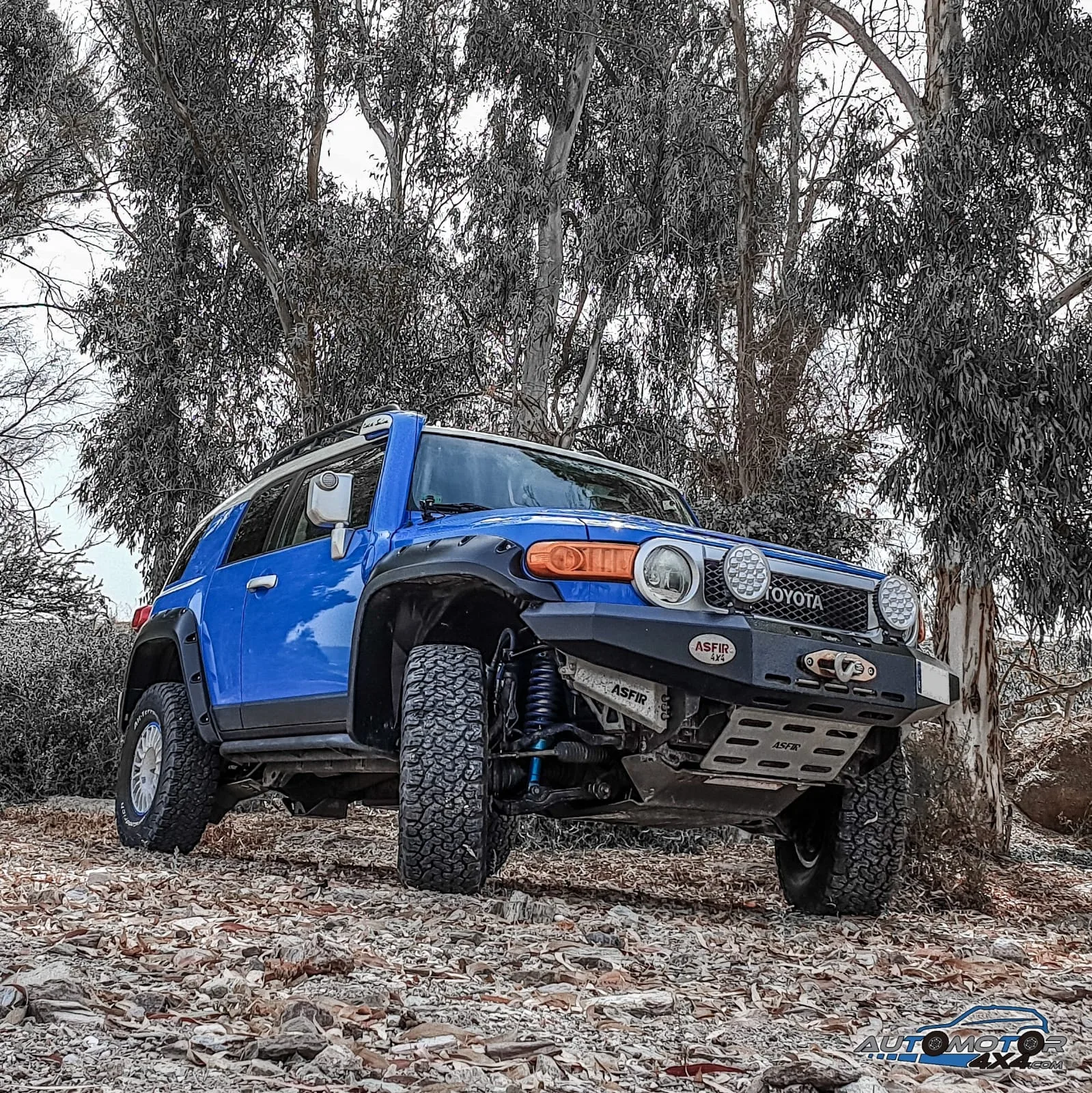 Toyota FJ Cruiser — taller 4x4 en Águilas (Murcia) (10/11)